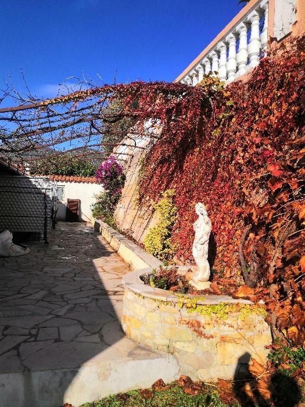 Chambres Chez L'Habitant Villa L'Ile Aux Anges Saint-Andre  Bagian luar foto