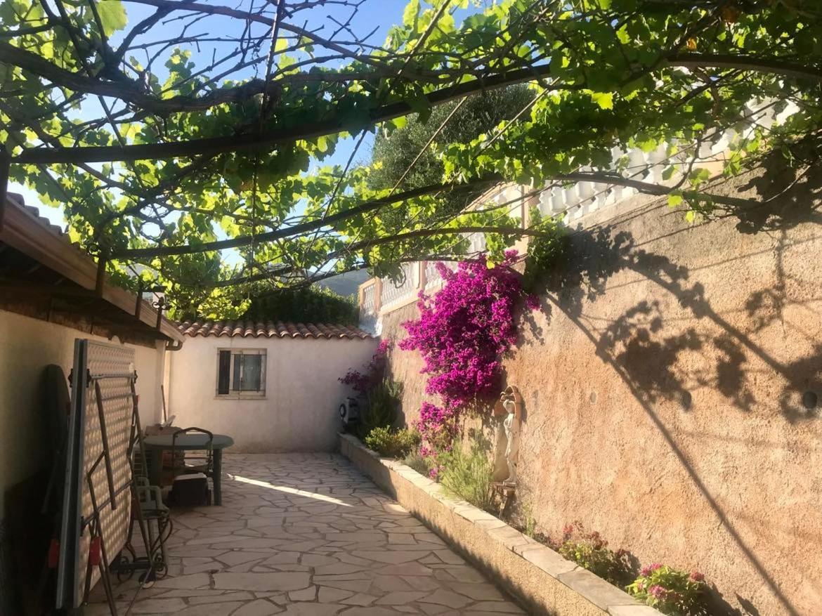 Chambres Chez L'Habitant Villa L'Ile Aux Anges Saint-Andre  Bagian luar foto